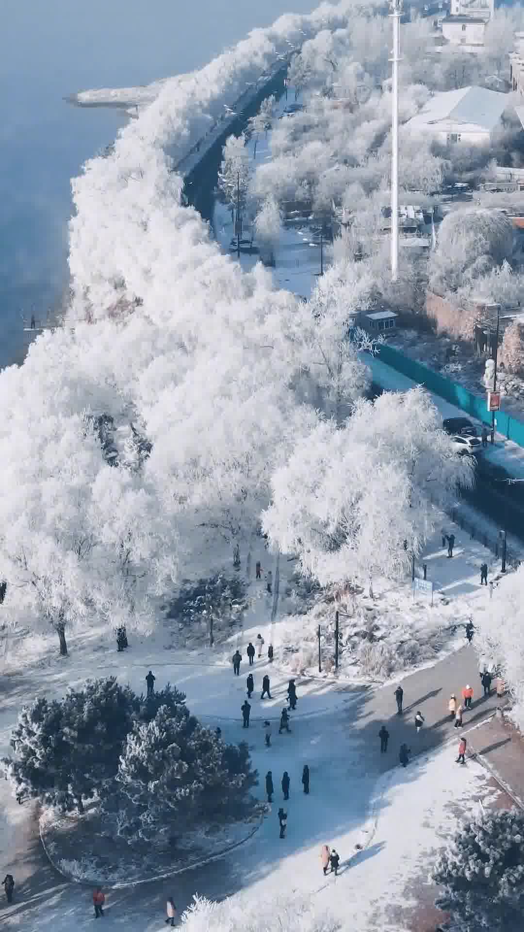 吉林，活力四溢的希望之地