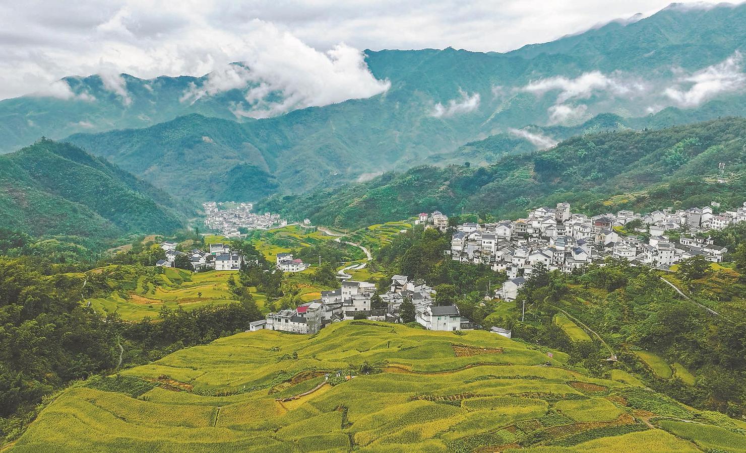 安徽日报聚焦安徽发展动态