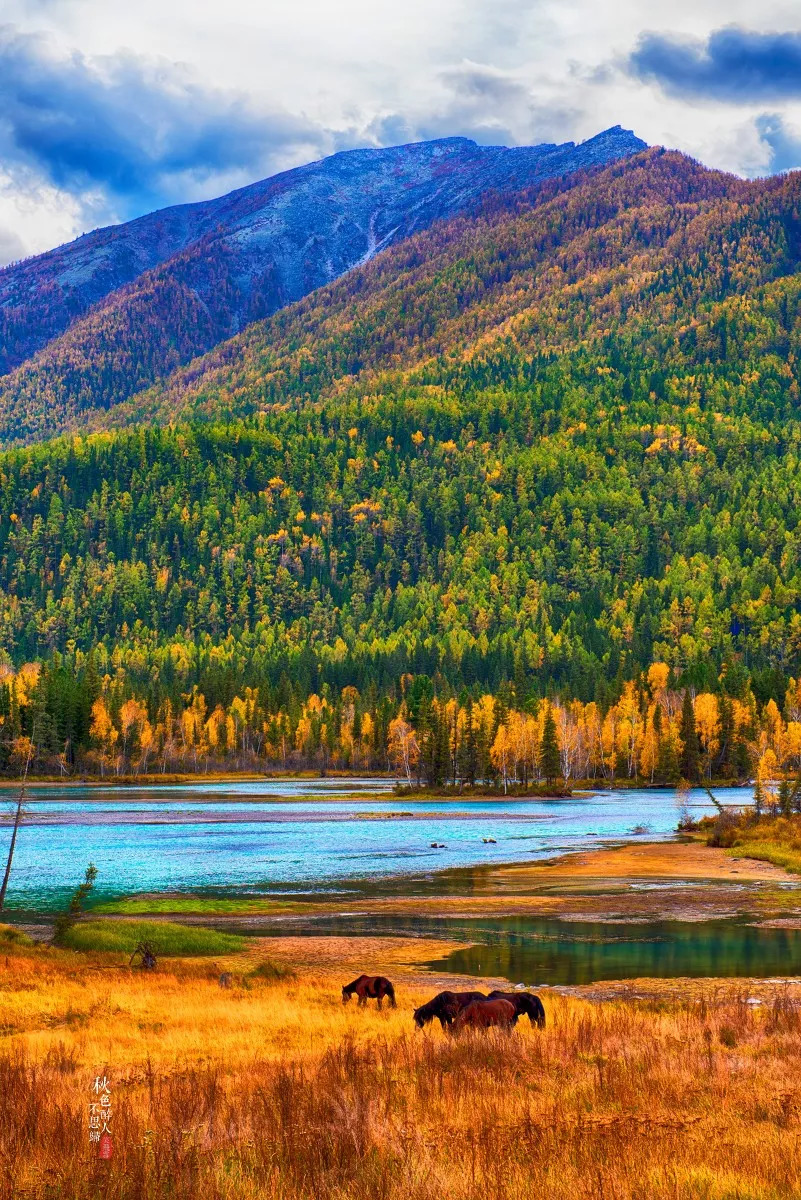 梦想之翼在新疆蓝天翱翔